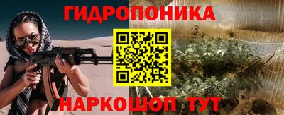 индика Пыть-Ях
