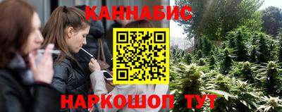 индика Пыть-Ях