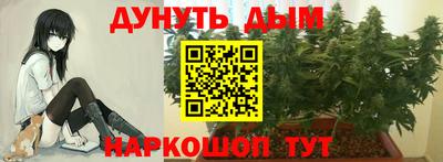 индика Пыть-Ях