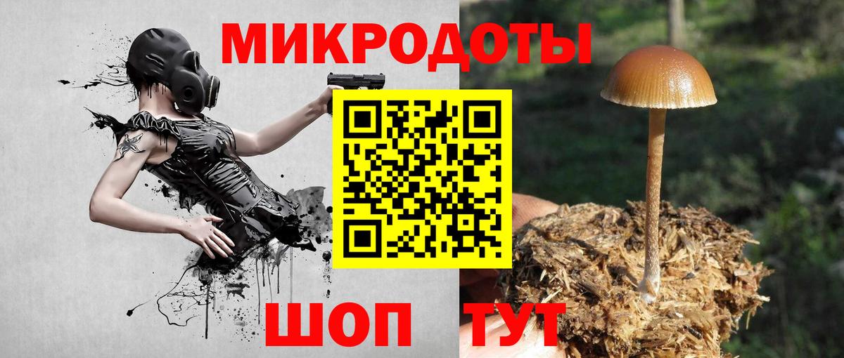 Саратов  Галлюциногенные грибы мицелий  Вход с VPN  Галлюциногенные грибы Psilocybe 